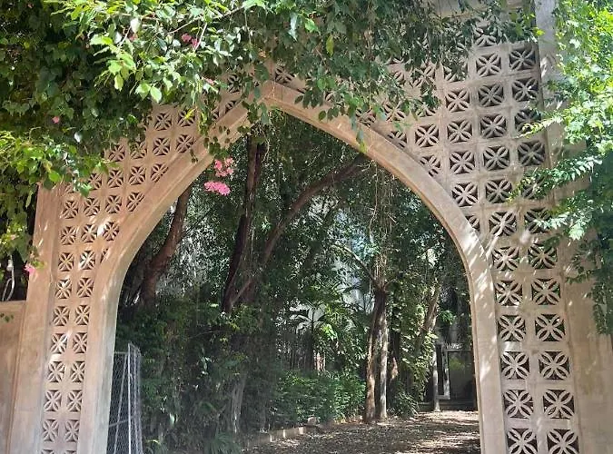 Jungle Hotel