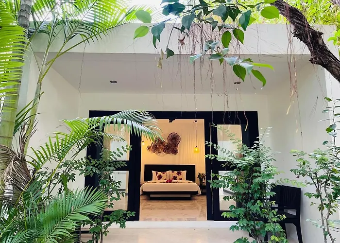 Jungle 3*