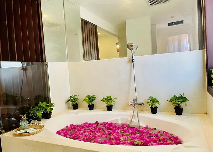 Hotel Jungle 3*